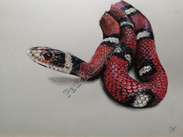 serpent