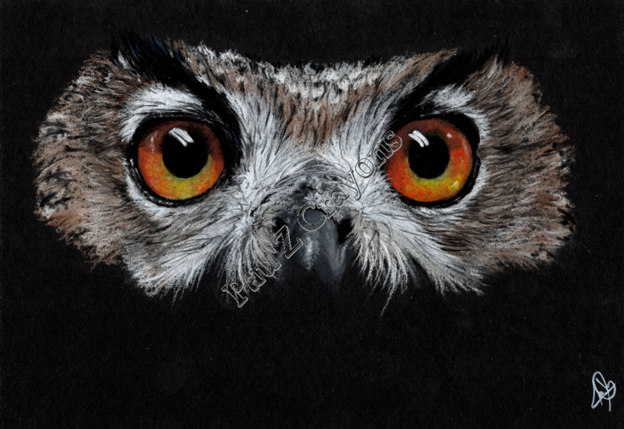 Dans les yeux du Grand-duc
